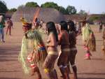 Tribal-Celebration-33bm8cpizq.jpg