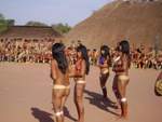 Tribal - Celebration-33bm8cusjm.jpg
