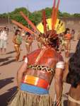 Tribal - Celebrations3bm8dbww5.jpg